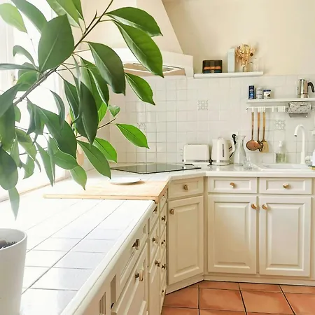 Landes House With Direct Access In